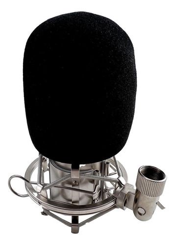Microfone Alctron Condesador Mc001 Pro