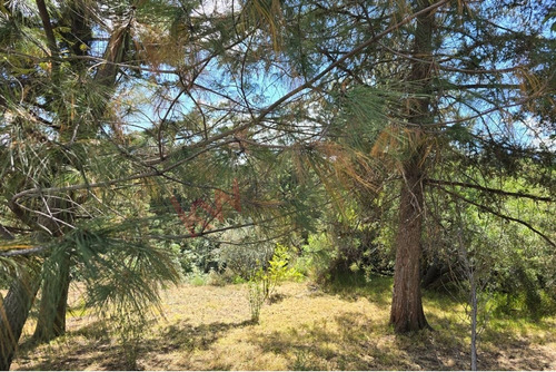 Terreno En Venta, Ideal Para Desarrolladores