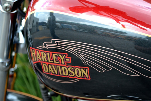 Imagen 1 de 15 de Para Exigentes Harley Softail Custom 1584 Impecable 6 Vel.