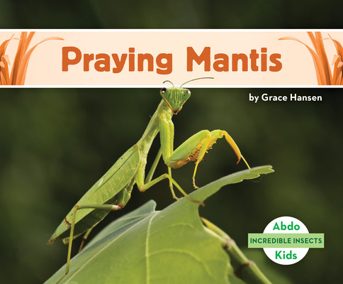 Libro Praying Mantis - Hansen, Grace