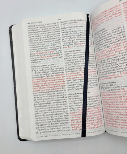 Imagen 9 de 9 de Biblia Rvr1960 Tapa Dura Letra Grande León Imagenes D Israel