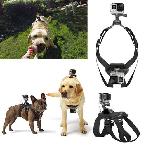 Imagen 2 de 6 de Arnés De Gopro Para Perro Fetch Tamaño Correa Ajustable