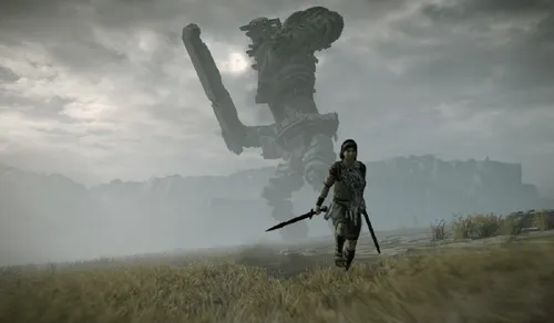 Shadow Of The Colossus Ps4 Fisico Vemayme