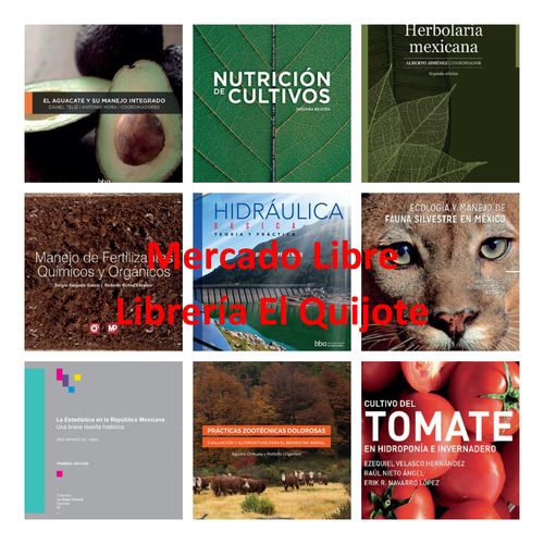 Produccion Sustentable De Bambues En Mexico - Colpos