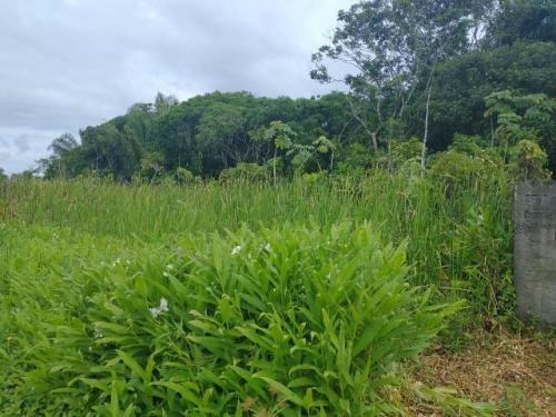 Imagem 2 de 3 de Terreno Em Itanhaém Jd.palmeiras Lado Praia 1200 Mts Do Mar.