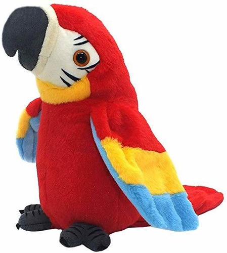 Qdd Hablar Loro Repite Lo Que Usted Dice Mimetismo Mascotas