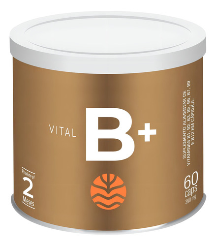 Complexo B Vital B+ Vitaminas B1 B2 B3 B5 B6 B7 B9 B12 60cap Sabor Sem sabor