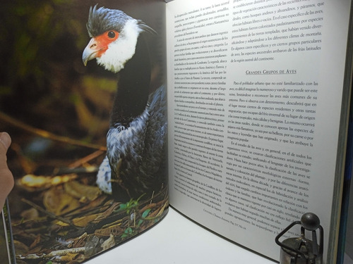 Imagen 5 de 10 de Los Colores Del Aire - Aves De Colombia Y El Trópico