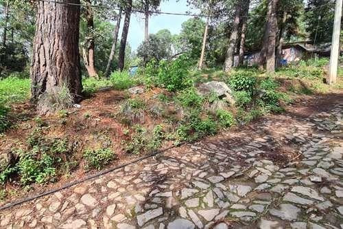 Imagen 1 de 5 de Terreno En Venta, Semiplano Excelente Para Casa De Descanso.