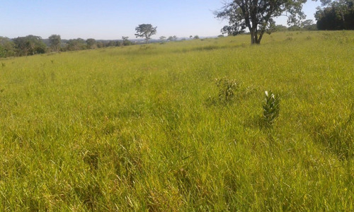 Fazenda A Venda 117 Hectares Com Granja Centro-oeste De Mg - 14532