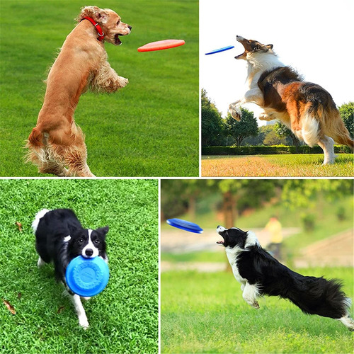 Frisbee, Disco Para Perros, Juguetes Para Perros, Frisbee De