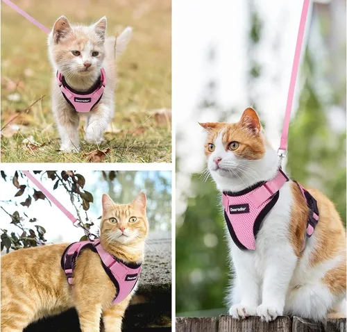 Correa Y Arnés Para Gatos