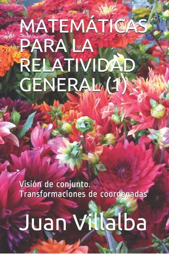 Libro Matemáticas Para La Relatividad General (1): Visi Lcm8