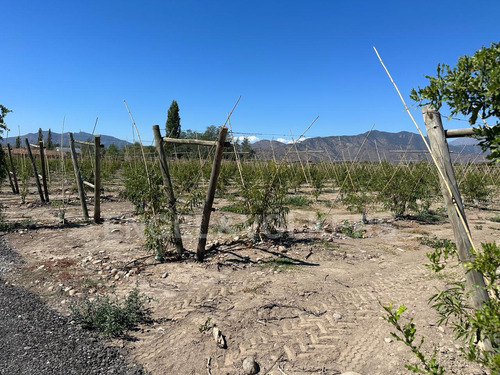 Terreno En Santa Amalia