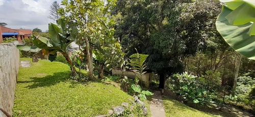 Imagen 14 de 18 de Se Vende Casa 300 Mt2 & 1600 Mt2 Terreno 3h/4b/6pe Los Guayabitos