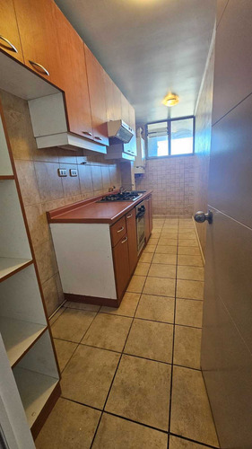 Arriendo Hermoso Depto Lomas San Sebastián (106181)