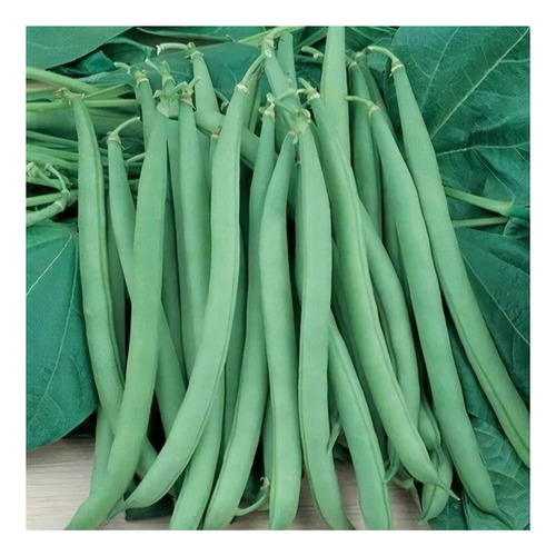 Feijão Vagem Macarrão Trepador Favorito - 10gr De Sementes