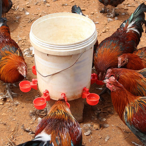 15 Unids Bebedouros Automático Copinho Para Aves + Te Adapta Cor Vermelho 0