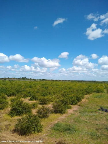 Imagem 3 de 15 de Fazenda Para Venda Em Ceará-mirim, Centro, 2 Dormitórios, 2 Banheiros, 2 Vagas - Kc 0394_2-1192672