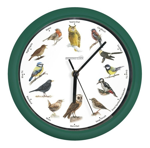 Reloj De Pájaros Cantores Starlyf Birdsong Clock Color de la estructura Verde Color del fondo Blanco