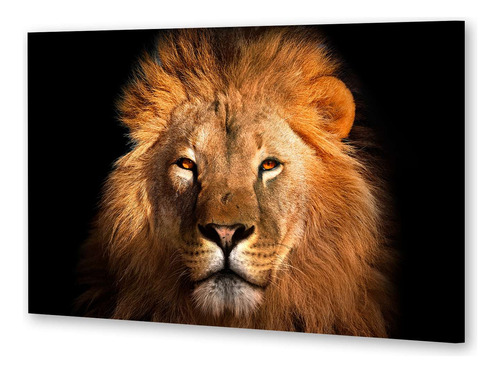 Cuadro 60x90cm Leones A6 Leon Frente Feroz Fondo Negro