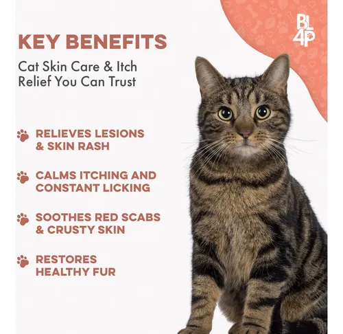 Tratamiento Natural Para Ácaros Del Oído En Gatos