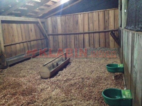 Chácara Com 3 Dormitórios À Venda, 30000 M² Por R$ 1.500.000,00 - Lageado Dos Paulinos - Concórdia/sc - Ch0005