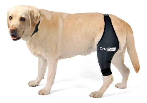 Protector De Rodilla Izquierda Canino Ortocanis Como Nuevo