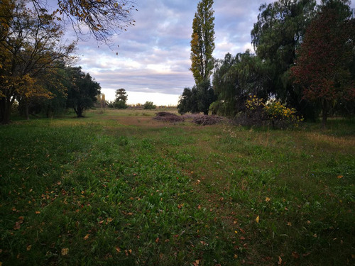 Finca De 22 Has En Rama Caida