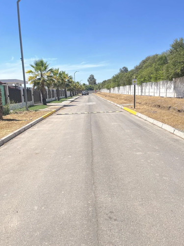 Exclusiva Parcela Talagante, Las Palmas Del Oliveto