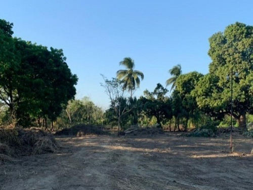 Imagen 16 de 22 de Comercial Terreno En Venta