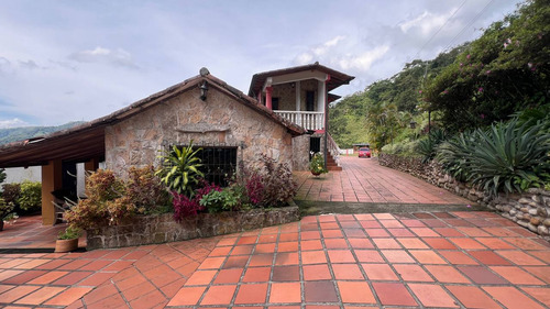 Mr. Finca Sector Pedraza Chorro El Indio