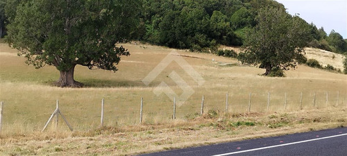 Sitio - 5.000 M2 Cada Uno - Cascadas - Puerto Octay