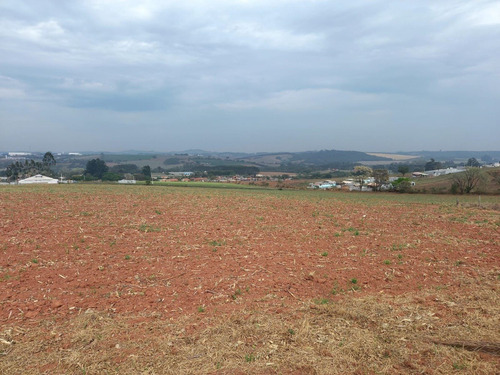 Imagem 6 de 14 de B02- More Próximo Ao Parque Do Morango! Lotes Promocionais!!