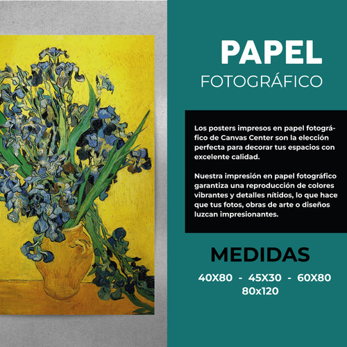Poster Papel Fotografico Predator Schwarzenegger Cuarto45x30