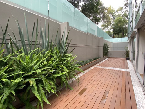 Imagen 3 de 23 de Garden House Con Terraza. Iluminado Y Moderno. Aristóteles