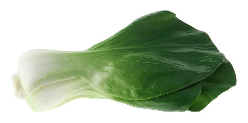 Verduras Artificiales Realistas Segundo
