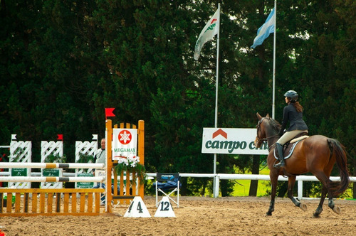 Imagen 28 de 30 de Alquiler Temp. Anual Campo Chico/golf/tennis/gym