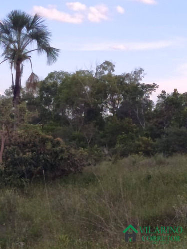 Imagem 9 de 15 de Fazendinha Em Três Marias - 3228