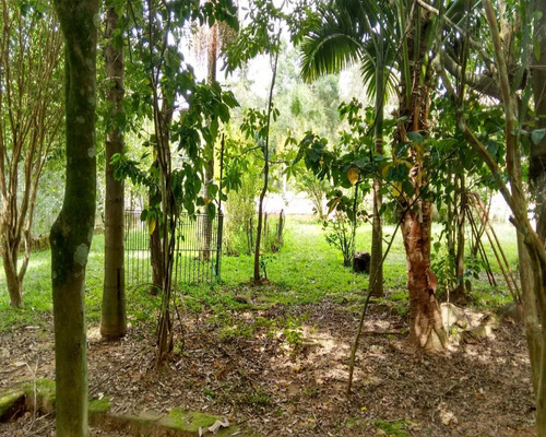 Chácara 1.500 M² - Palermo - Gravataí - Rs - 1083 - 32419604