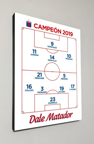 Cuadro Tigre Campeon 2019 Equipo 30x40
