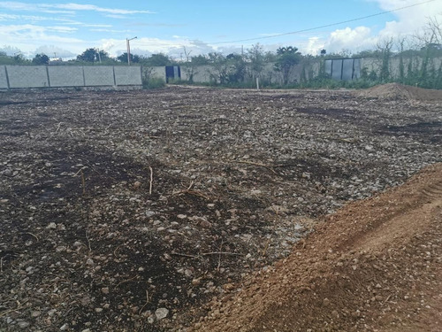 Imagen 2 de 5 de Dzitya Terrenos En Venta Dhara