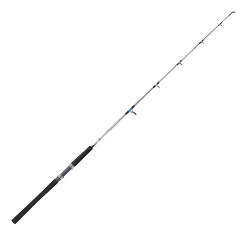 Caña Carbono Macizo Evolution Gt2 1.83m Frontal 20-50lb