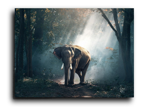 Cuadro Decorativo Canvas Comedor 50x60cm Elefante Bosque