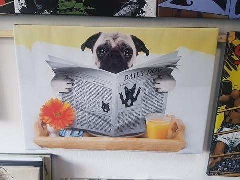 Vinilo Decorativo 30x45cm Perro Pug Leyendo Puppy Mascota M1