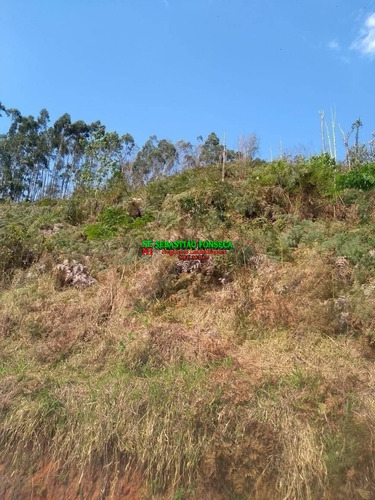 Imagem 5 de 7 de Sítio 30 Mil M² Em Monteiro Lobato - 1671