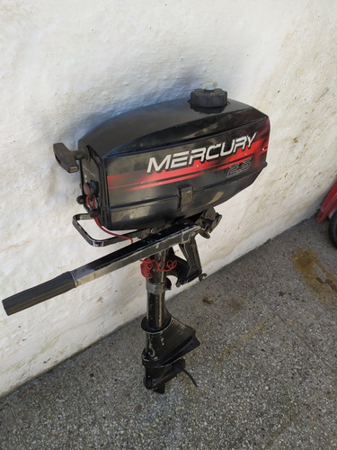 Gomon Z-ray 300 Con Motor Mercury 2.5 Hp