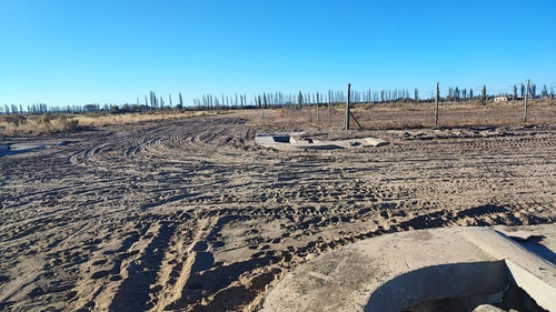 Imagen 3 de 13 de Terreno En Venta San Rafael Mendoza