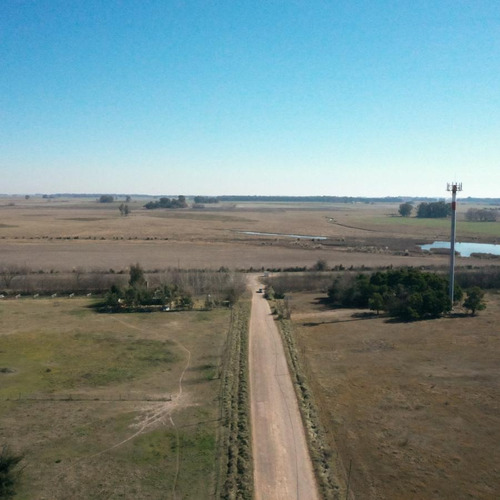Imagen 5 de 21 de Terreno - Laguna De Lobos