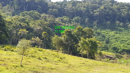 Imagem 4 de 30 de Juquiá/sitio Com Pupunha/ Pasto E 05 Lagos Para Pesqueiro - 04857 - 34121206
